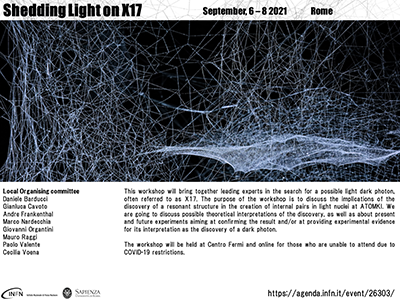 Shedding light on X17 conferece