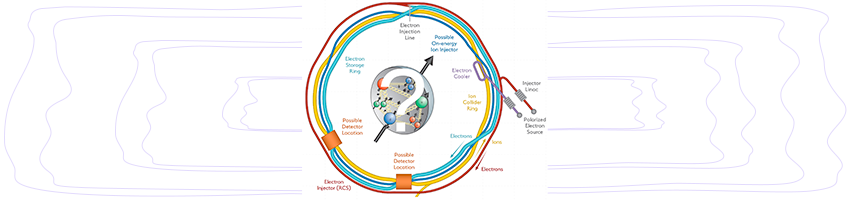 schema del collisore EIC