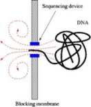 dna-circola