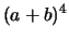 $\displaystyle (a+b)^4$