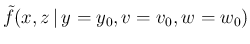 $\displaystyle \tilde f(x,z\,\vert\,y=y_0,v=v_0,w=w_0)$