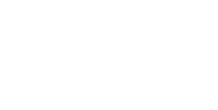 INFN logo
