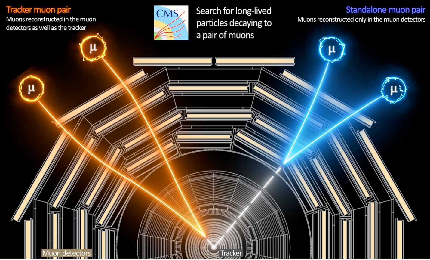 CMS event display illustration with muon pairs