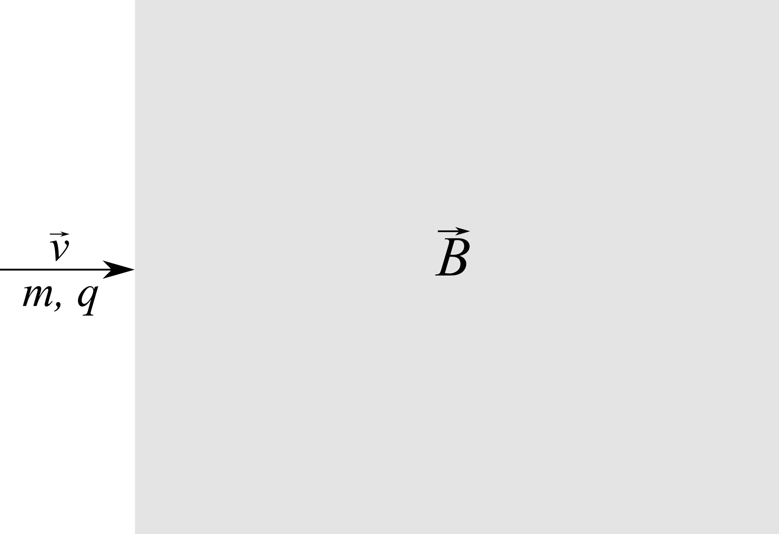 ../../images/fisica2/esercizio_42.png